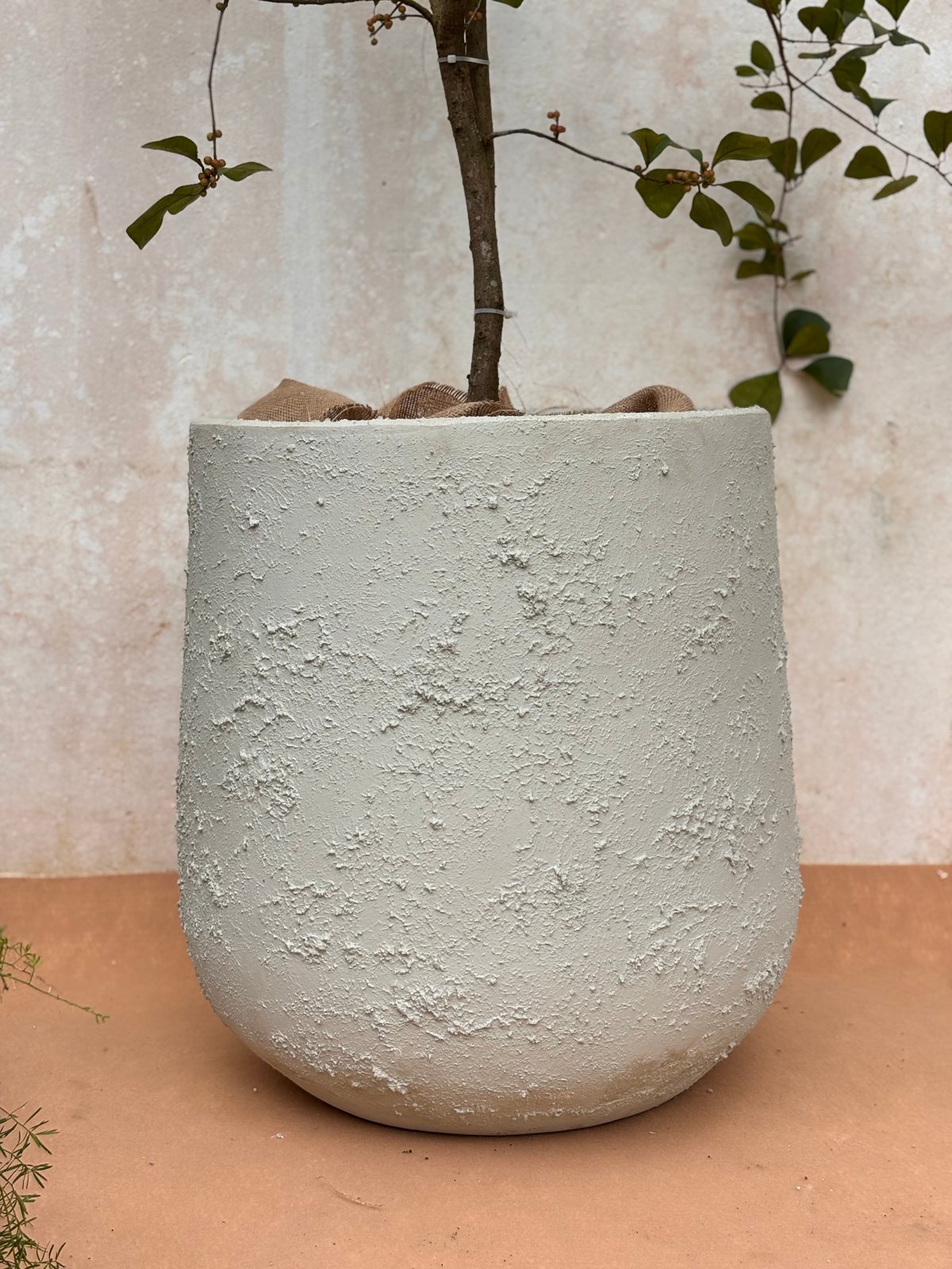 Pote de lujo blanco hueso con textura de piedra