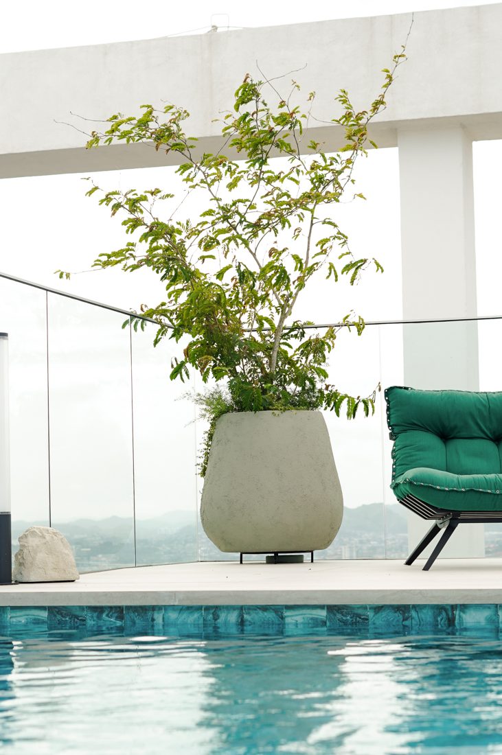 Árbol en pote de lujo gris junto a una piscina en la terraza